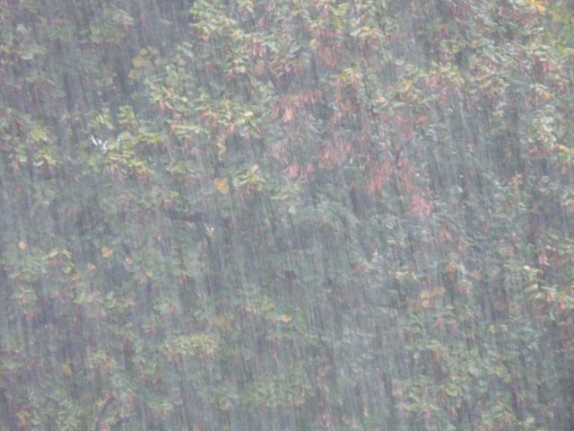 hans-rain-shower-61926